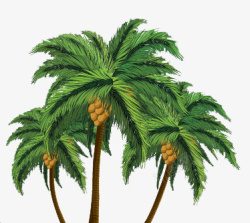 彩绘椰子树素材