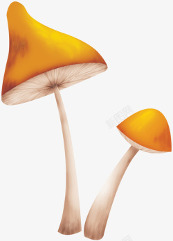 黄蘑菇素材