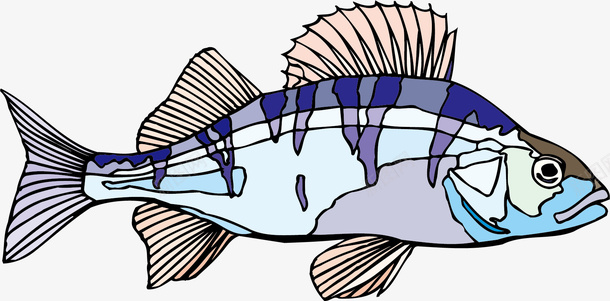 生物世界鱼矢量图ai免抠素材_新图网 https://ixintu.com 卡通鱼 卡通鱼矢量素材 海洋生物 生物世界 鱼 矢量图