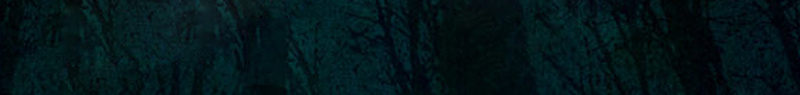 万圣节恐怖森林之旅psd设计背景_新图网 https://ixintu.com 万圣节 夜晚 幽森 恐怖 惊悚 文字标语 树木 森林 派对 英文字体 设计