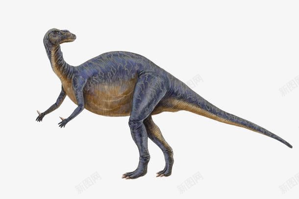 远古动物png免抠素材_新图网 https://ixintu.com 动物 恐龙 白垩纪