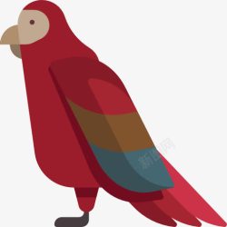 野生的生活Parrot图标高清图片