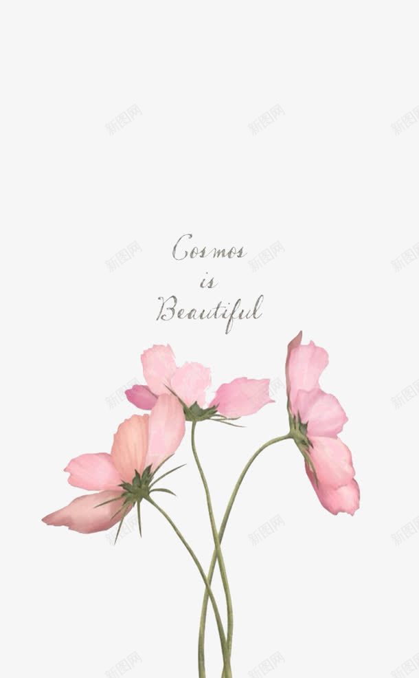 粉色的花朵png免抠素材_新图网 https://ixintu.com 小花 植物 粉色的 花朵