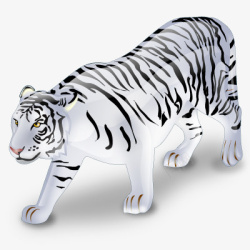 tiger动物老虎白超境界高清图片