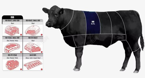 卡通手绘黑色的牛png免抠素材_新图网 https://ixintu.com 创意 动物 卡通手绘 卡通牛 牛的部位 黑色的牛