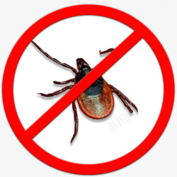 禁止出入卡通禁止蟑螂出入标志高清图片
