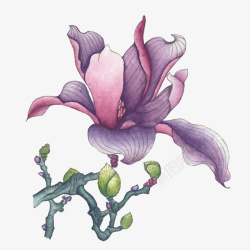 字儿手绘紫色花卉高清图片