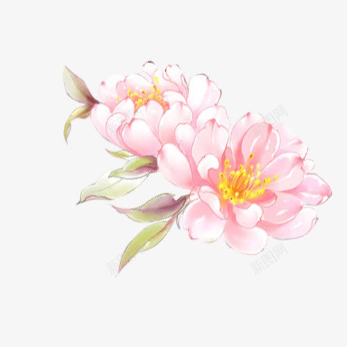 植物卡通花朵油画效果png免抠素材_新图网 https://ixintu.com 卡通 效果 植物 油画 花朵