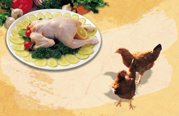 土鸡特产食品海报背景背景
