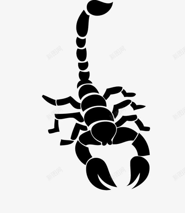 黑色蝎子纹身图标png_新图网 https://ixintu.com PNG素材 纹身 蝎子 黑色