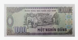 越南盾1000越南盾高清图片