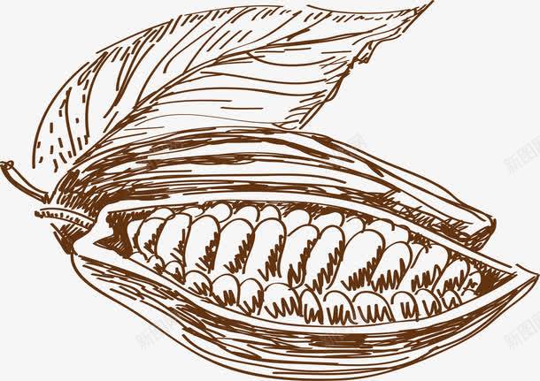 玉米素描png免抠素材_新图网 https://ixintu.com 平面设计 玉米 粗粮 素描