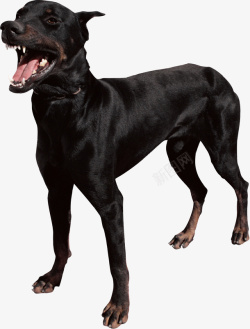 黑色的狗卡通黑色张嘴的狗高清图片