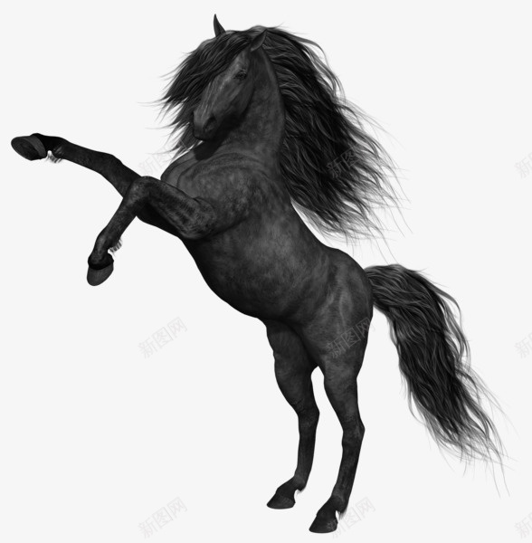 手绘黑色马png免抠素材_新图网 https://ixintu.com 动物 手绘 跳跃的马 黑色