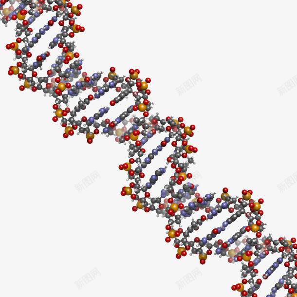 基因png免抠素材_新图网 https://ixintu.com 健康 医疗 基因 基因链 治疗 药品