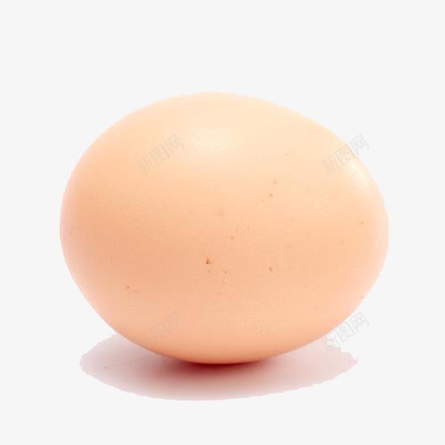 精品鸡蛋png免抠素材_新图网 https://ixintu.com 柴鸡蛋 白皮鸡蛋 精品鸡蛋 鸡蛋