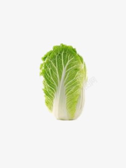 一颗大白菜素材