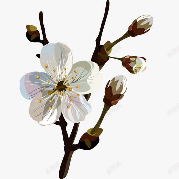 手绘花朵png免抠素材_新图网 https://ixintu.com 白色的花 矢量装饰 花 花朵 装饰