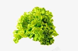 绿色简约蔬菜装饰图案素材