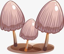真菌植物卡通高清图片