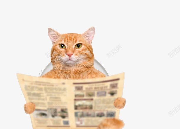 上厕所看报纸的猫png免抠素材_新图网 https://ixintu.com 厕所 报纸 猫 马桶