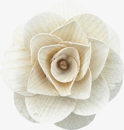 手工艺术品白色的花素材