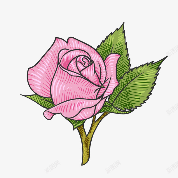 粉色玫瑰花png免抠素材_新图网 https://ixintu.com 卡通植物 粉色玫瑰花 绿色叶子 背景装饰