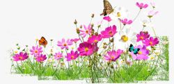 粉色花朵蝴蝶风景素材