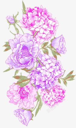 紫色田园风格花朵素材