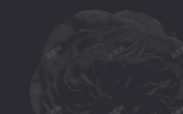 灰色简约花朵海报jpg设计背景_新图网 https://ixintu.com 海报 灰色 简约 花朵