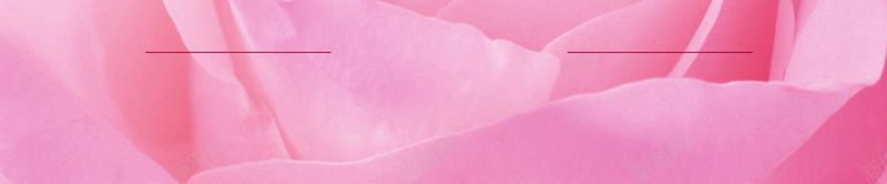 粉色玫瑰纹理海报背景psd设计背景_新图网 https://ixintu.com 埃菲尔铁塔 大气 浪漫 海报 玫瑰花 粉色 纹理 背景
