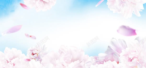 粉色花朵的电商海报背景