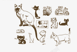勾边手绘可爱猫装饰高清图片