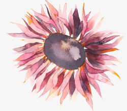水彩手绘复古花朵向日葵素材