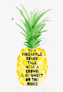 pineapple菠萝高清图片