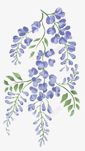 水彩紫色花朵png免抠素材_新图网 https://ixintu.com 卡通 叶子 手绘 插画 植物 紫色 花朵 鲜花