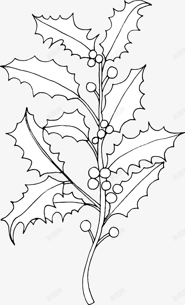 手绘叶子简笔画图图标png_新图网 https://ixintu.com 创意 卡通手绘 叶子 植物 水彩 白色 简笔画