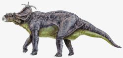 原始动物白垩纪恐龙高清图片