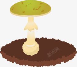 土壤蘑菇素材