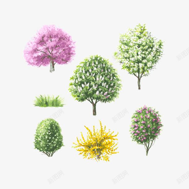 水彩树png免抠素材_新图网 https://ixintu.com 树 植物 水彩