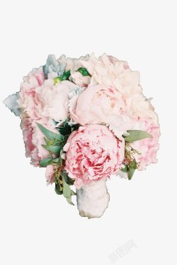 粉色月季婚礼花束素材
