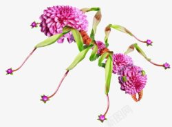 手工编织的花朵蚂蚁素材