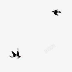 展翅翱翔展翅翱翔的燕子高清图片