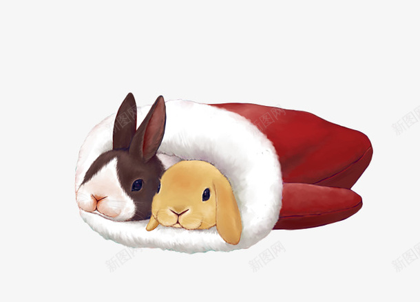 手绘手套中的两只小兔子png免抠素材_新图网 https://ixintu.com 两只 小兔子 手套 手绘 红色
