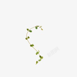 S型铁丝绿色藤曼上的树叶高清图片