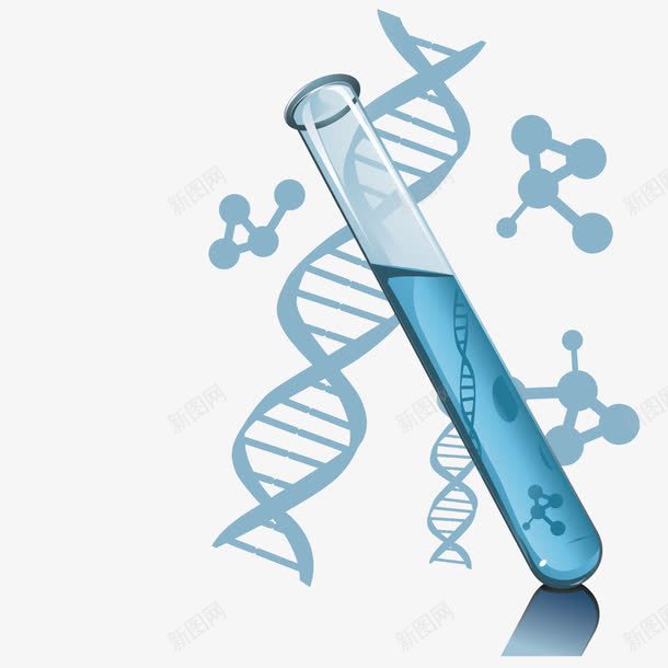 化学试管结构图png免抠素材_新图网 https://ixintu.com 化学 构图 试管