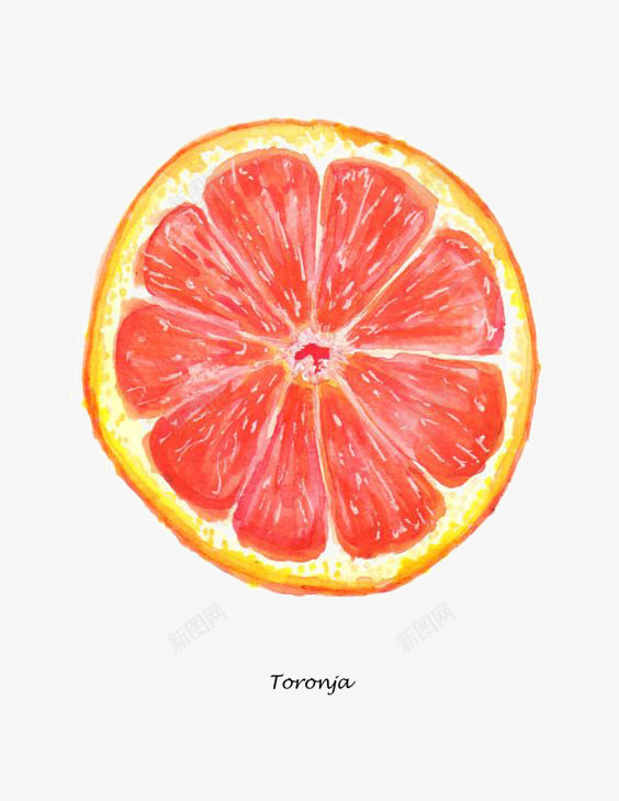 红色橙子png免抠素材_新图网 https://ixintu.com 创意水果 橙子切面 橙子插画 红橙