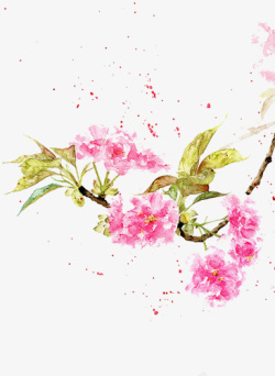 水彩粉色花卉元素素材