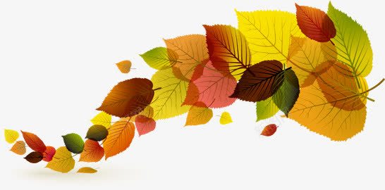 合成手绘五颜六色的树叶png免抠素材_新图网 https://ixintu.com 五颜六色 合成 树叶