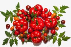 两角的西红柿菜市场成熟的西红柿菜市场高清图片